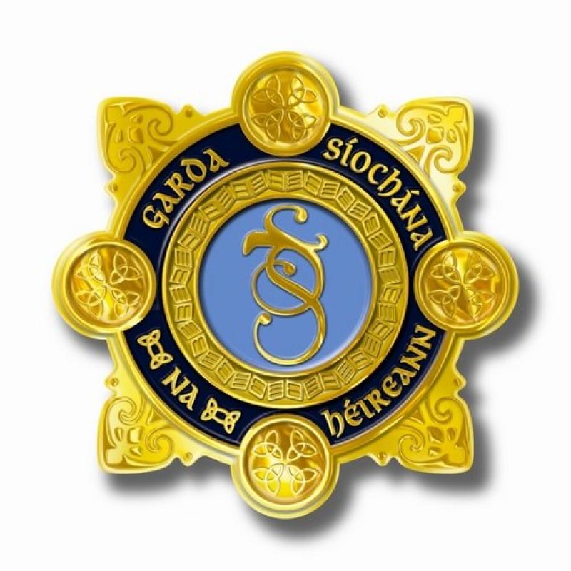 Tipperary man appointed to top role at Garda College in Templemore 
