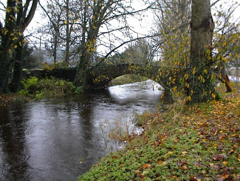 KILDARE ROUND UP: Clane-Maynooth Municipal District story briefs for March 2023