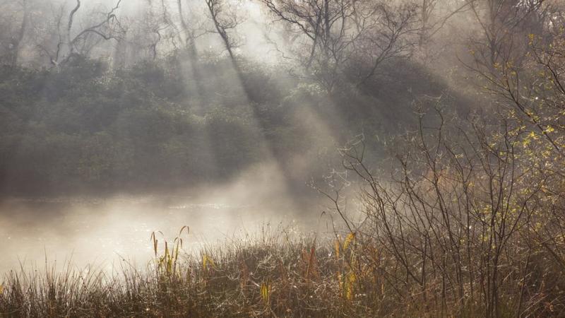 WEATHER: 'Fog will clear through this morning' Met Éireann daily weather forecast for Carlow 