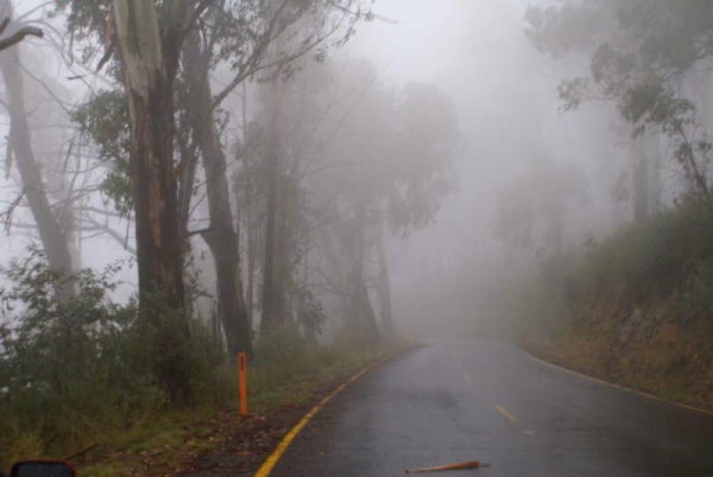 WEATHER: Mist and drizzle expected today (Feb 21) with ice possible overnight