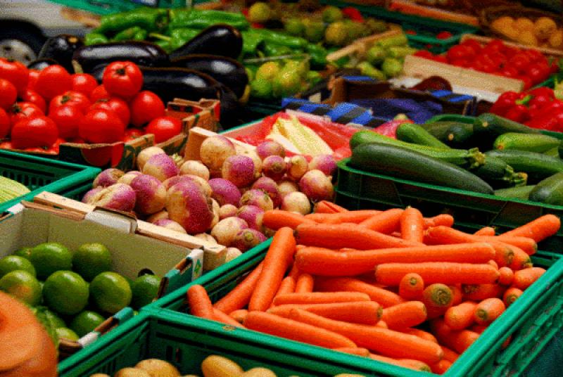 Appeal to people in Louth to join Stop Food Waste Challenge
