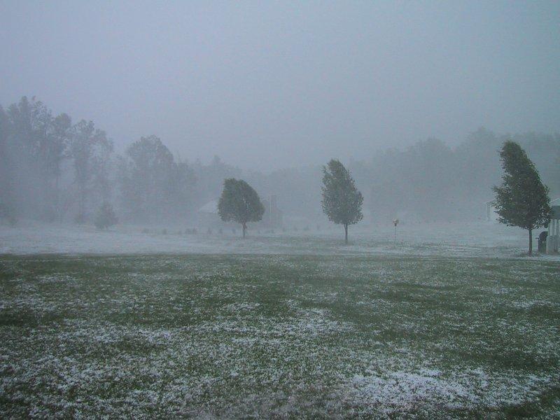 CARLOW WEATHER: Cold day ahead (March 8) with frost and isolated showers