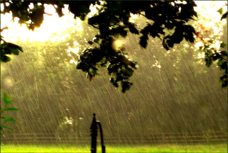CARLOW WEATHER: Scattered thundery showers with sunny spells