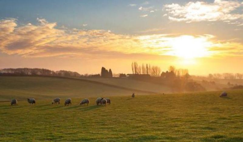 Another sunny day for Leitrim