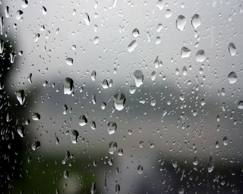 High humidity and occasional rain forecast for Waterford over Bank Holiday weekend