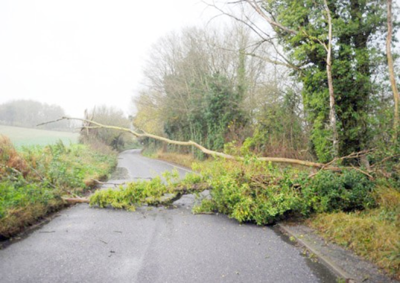 Met &Eacute;ireann warns motorists of possible downed trees as Status Yellow wind alert issued