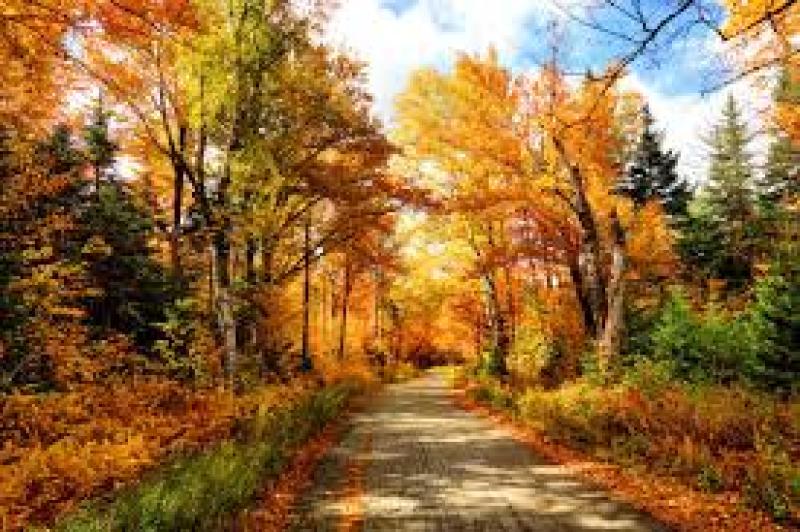 Nenagh Walking Club is looking forward to season of mists and mellow fruitfulness