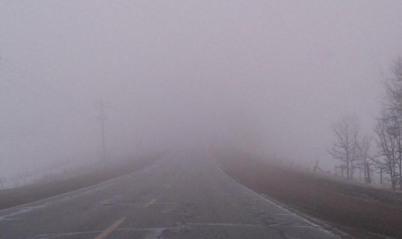 WEATHER: Mostly cloudy today (Feb 10) with mist and fog in places