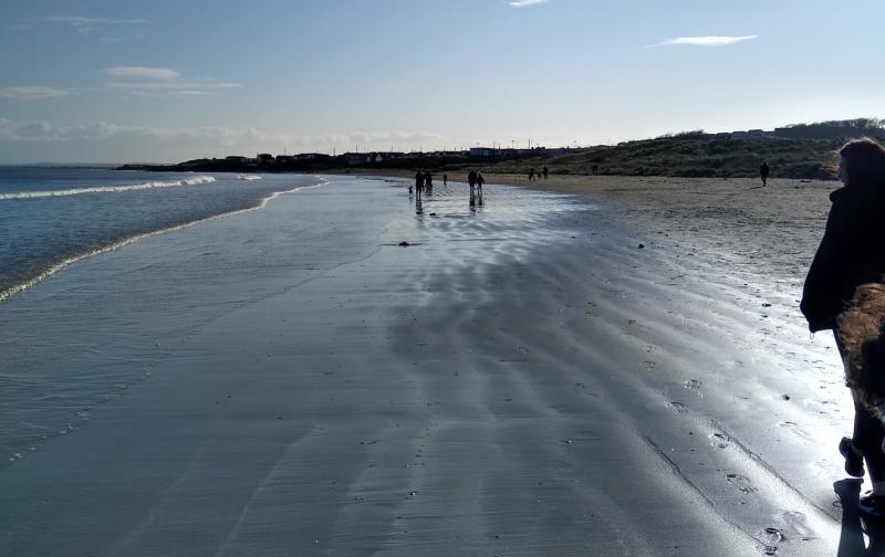Water Safety Ireland issues appeal to Waterford public after tragic drownings