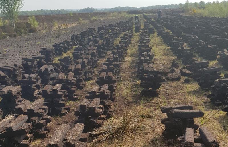 Ireland warned over failure to stop turf cutting on protected bogs
