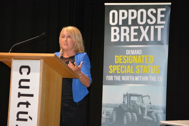 Foyle MLA Ferguson: Brexit labour shortages are the biggest problem facing manufacturers 