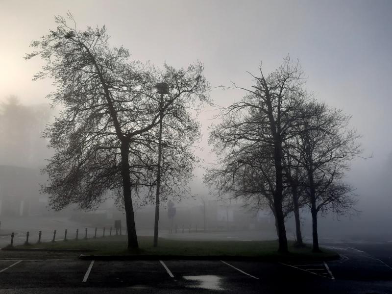 The Winds of Change and Our Wellbeing - Emma Coonan
