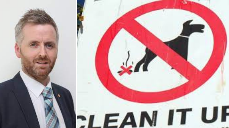 Litter enforcement company say dog fouling is 'council's problem'