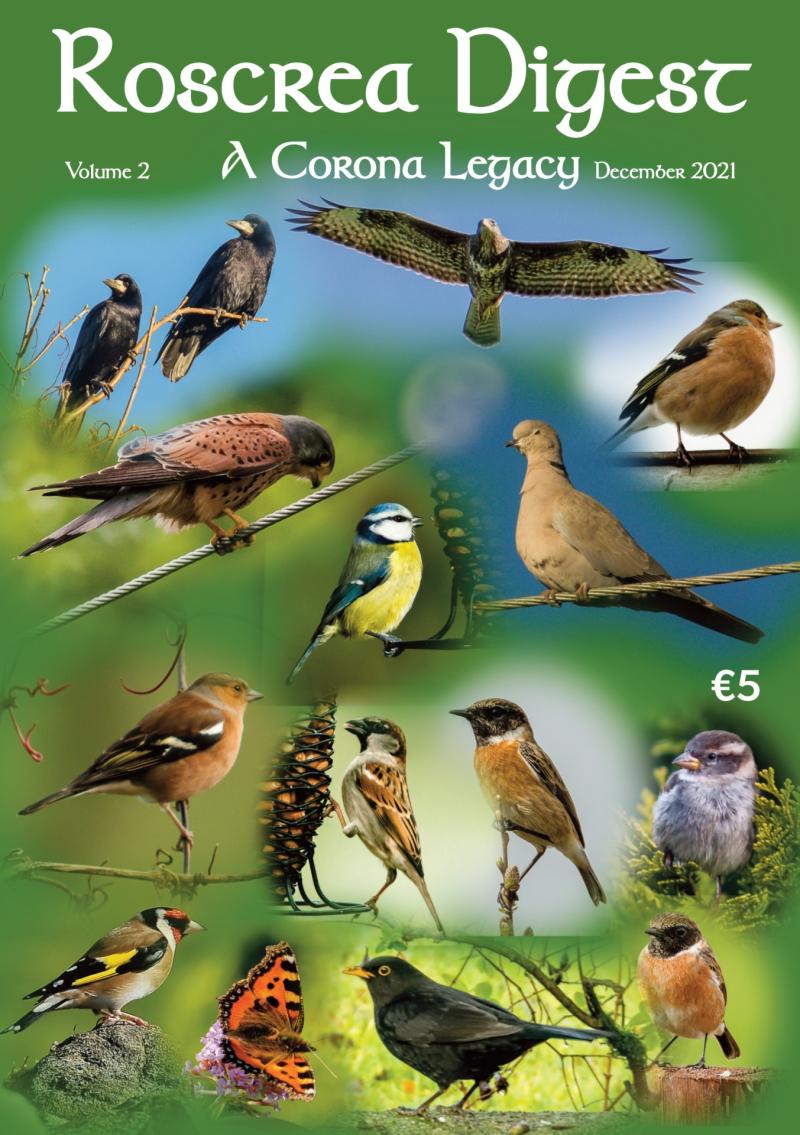 Age Friendly Roscrea - yoga, art, music,  literature and charity 