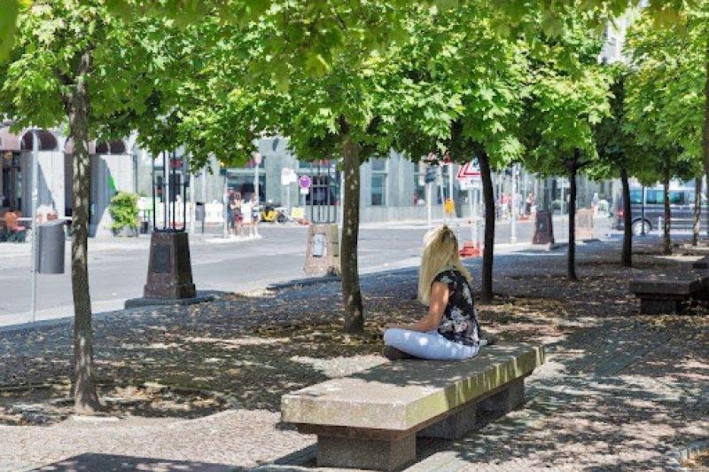 Environmental group opposes 'drastic clearout' of Clonmel town centre trees