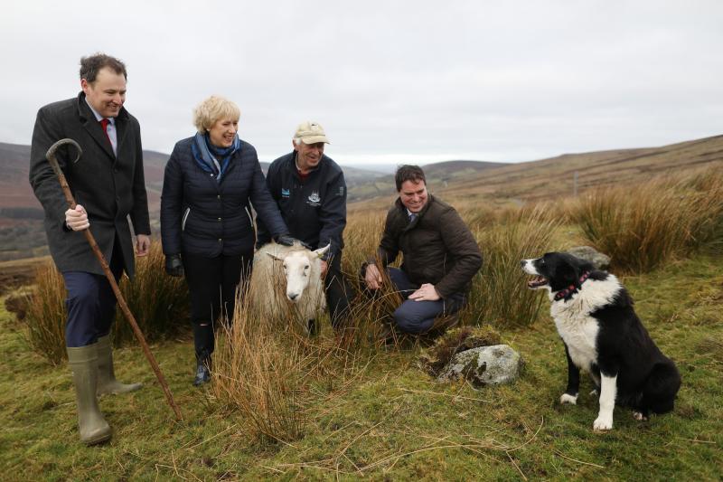 Kilkenny dogowners reminded of responsibilities during lambing season