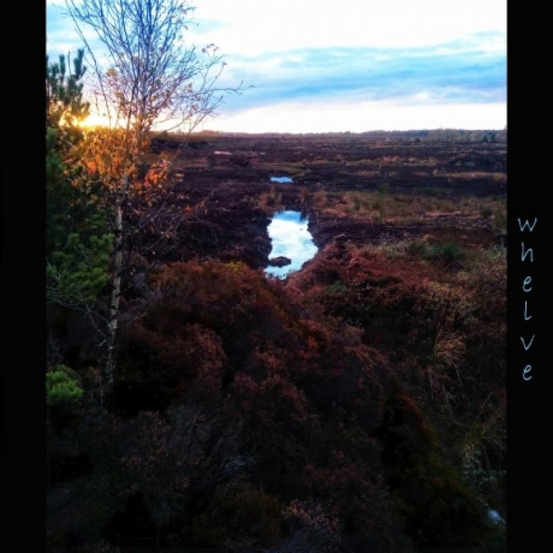 Dave Long and Shane O&rsquo;Neill  present Whelve at the Source Arts Centre 