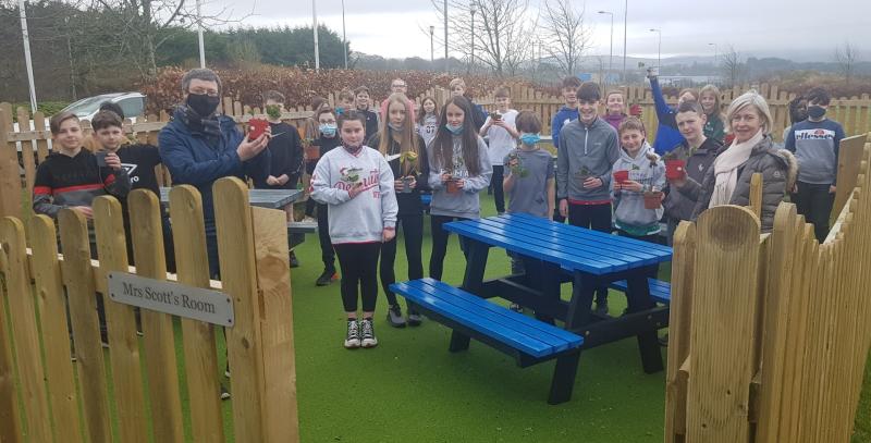 Blessington Allotments Campaign help 194 local students grow strawberries