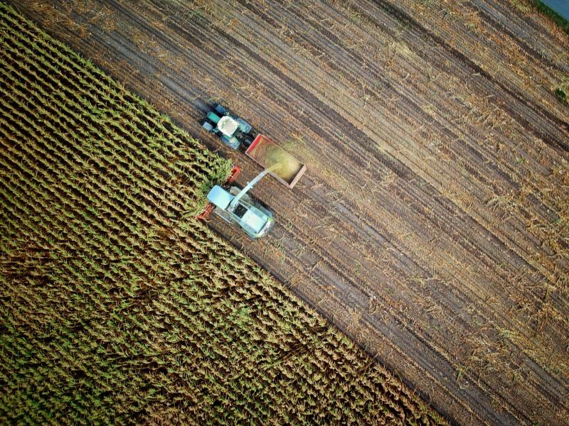 Kildare TD announces €9.6 million in research grants for projects across agri-food and bioeconomy
