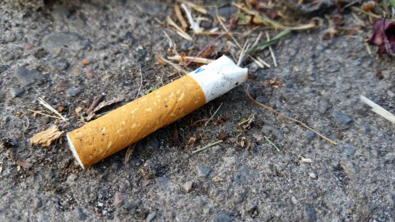 Just two external litter officers left covering Council area