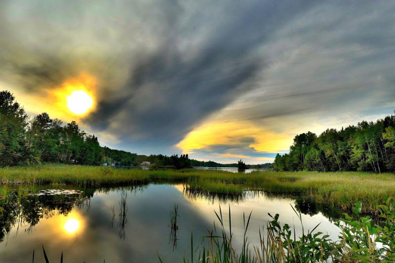 Potential for County Leitrim to Benefit from Biodiversity fund