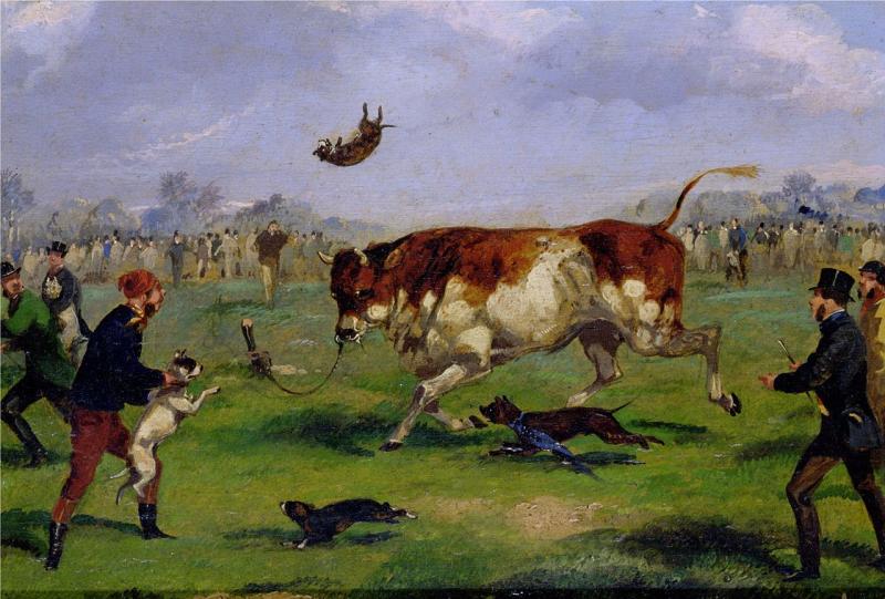 Ever hear tales of bull-baiting? It was popular in Kilkenny for centuries