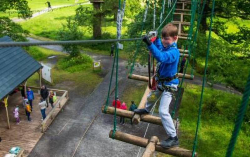 Forest adventure centre Zipit have applied to put a facility in Kildare