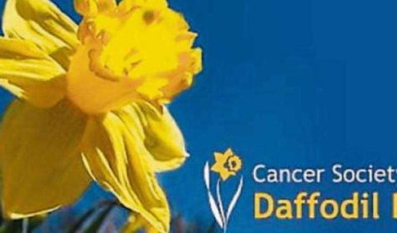  Daffodil Day returns to the streets of Kildare for the first time in three years