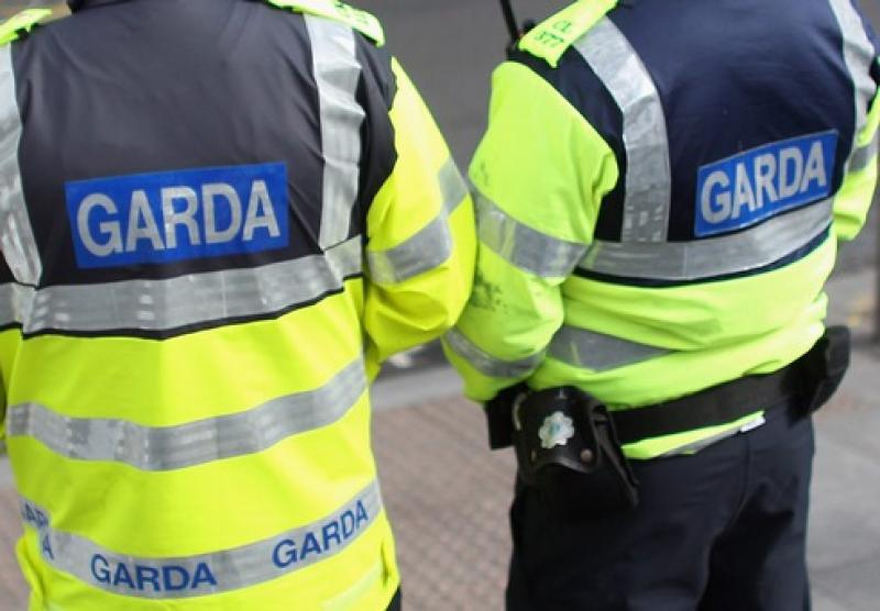 Garda&iacute; issue number of fines to vehicles parked illegally