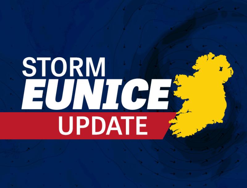 Storm Eunice: Man killed by falling tree in Wexford 
