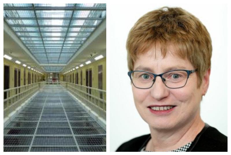 Inspector of prisons in Portlaoise and other jails resigns