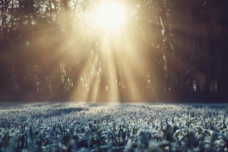 WATERFORD WEATHER: Cold and frosty this weekend with some isolated showers expected 