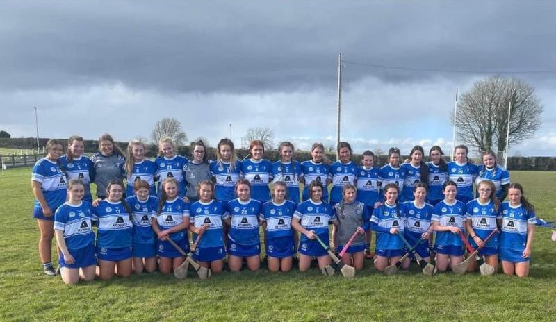 Awesome Laois power past Kildare and into All Ireland Camogie final