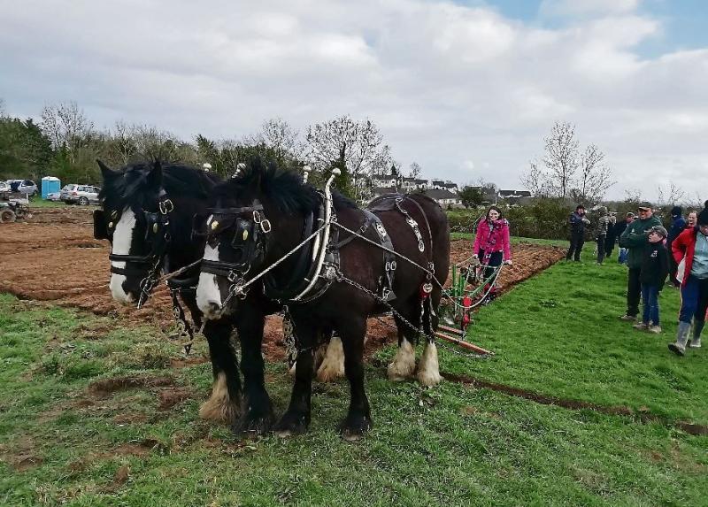 Longford ploughing