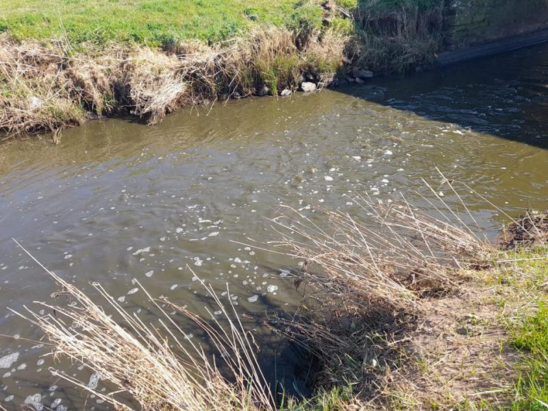 Slurry spillage kills thousands of fish in County Derry river