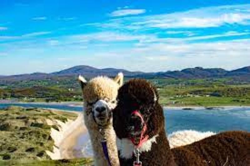Climb for Charlie in Inishowen