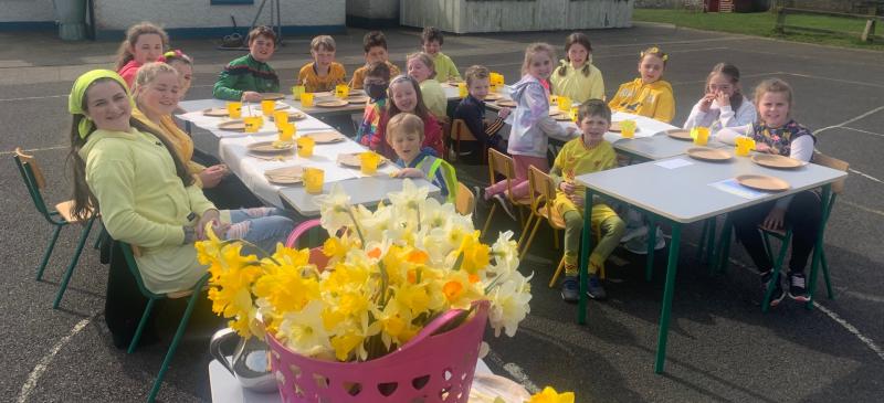 Pupils and staff from Castleiney NS raise funds for Daffodil Day