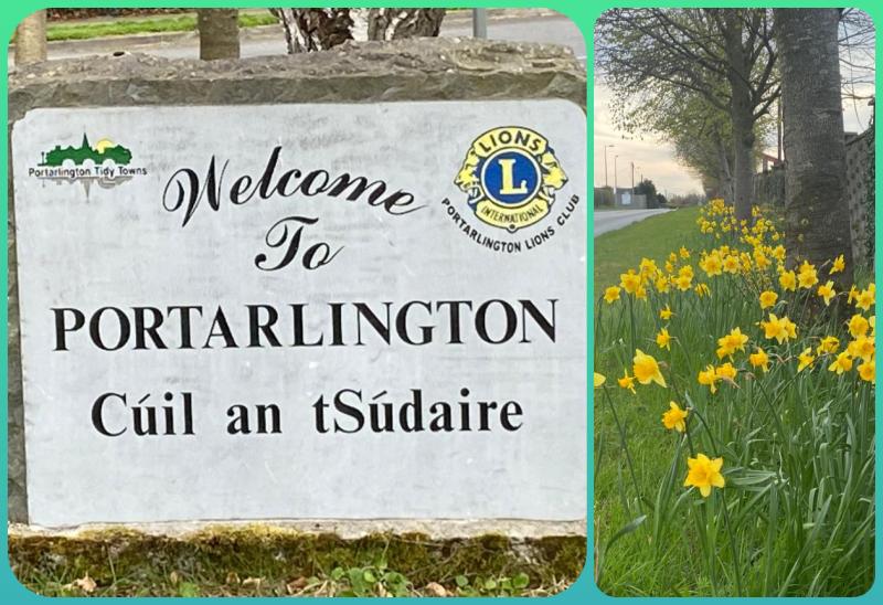 Laois Offaly town embarks on monster clean up 