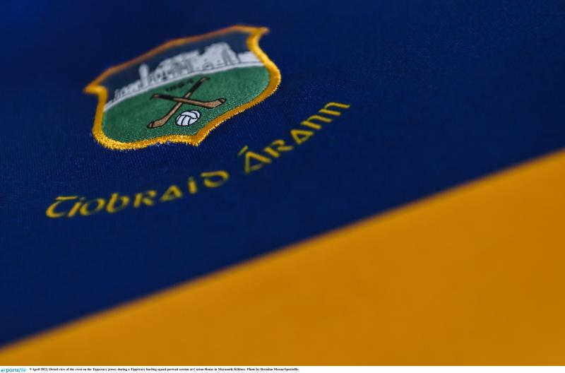 WOW: Watch magnificent Tom Delaney goal for Tipperary against Clare