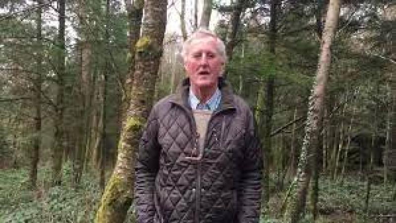 Lack of forestry planting will 'come back to bite everyone in the country'