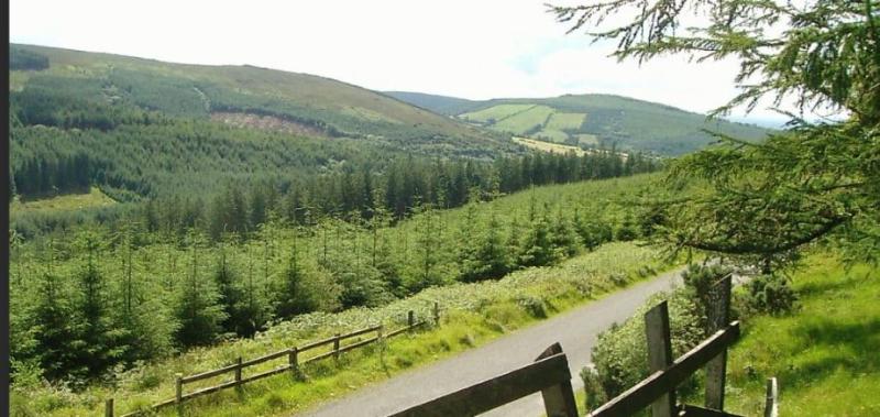Prison sentence for drug driver led Gardai on high speed chase into Slieve Bloom Mountains