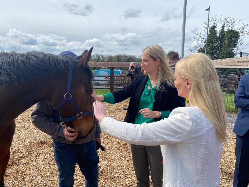 Irish Prison Service opens new horse centre for prisoners