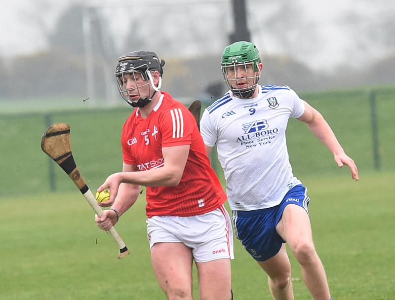 Liam Molloy
