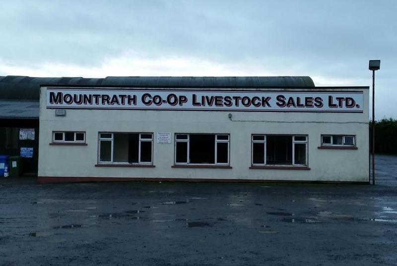 Talks on possible reopening of Laois mart but insurance still an issue