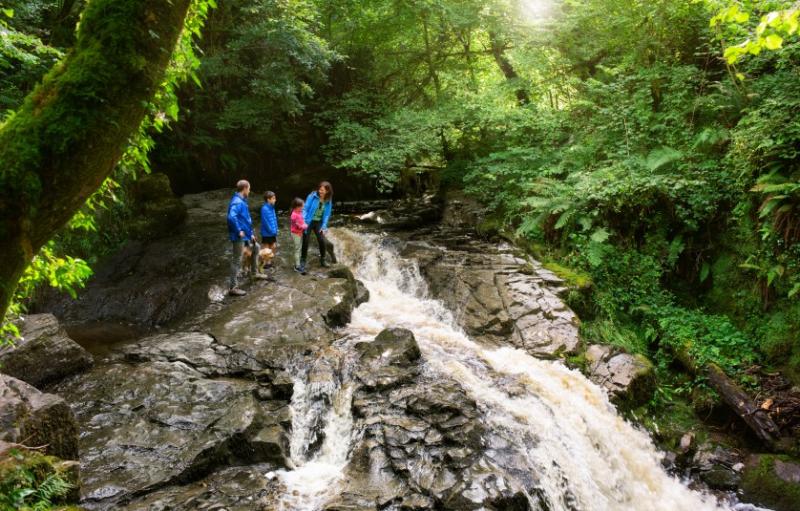 Slieve Bloom Walking Festival on this May Bank Holiday weekend