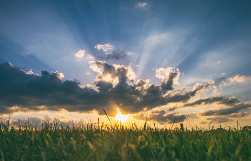 WATERFORD WEATHER: Mainly dry for the weekend ahead with high temperatures expected