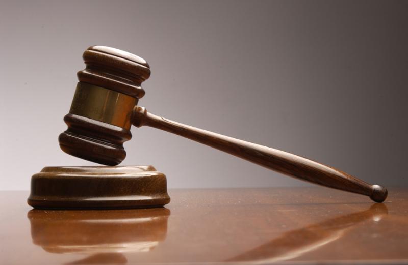 Carlow Circuit Criminal Court upholds hefty fine and five convictions for Wildlife Act Offences