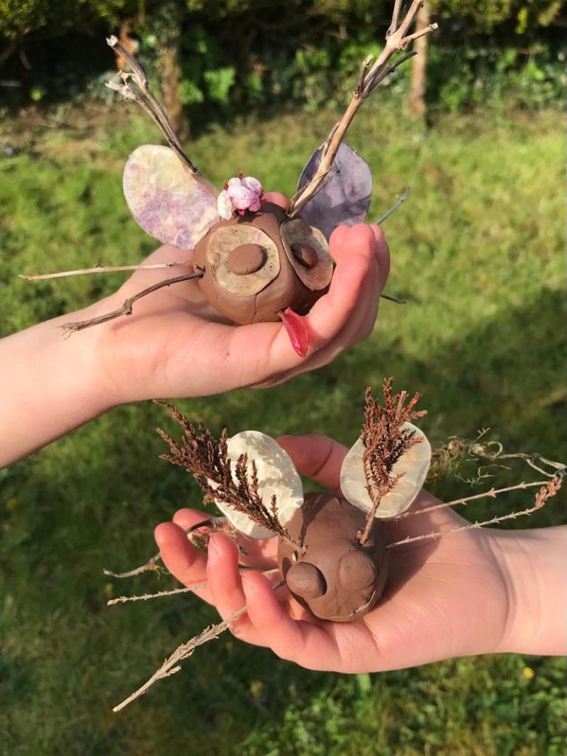 Find out about local wildlife during Biodiversity Week week in Leitrim 