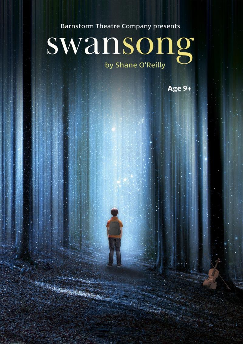 Swansong is set to wow young Kilkenny audiences