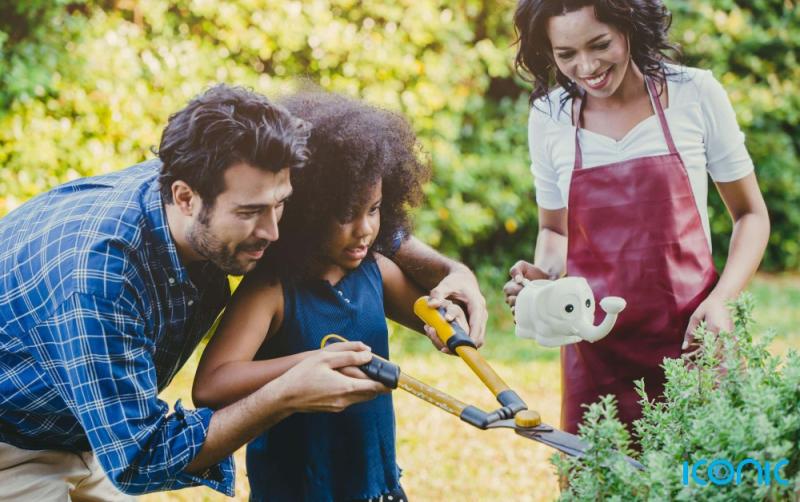 Budget tips and tricks to get your garden looking summer ready